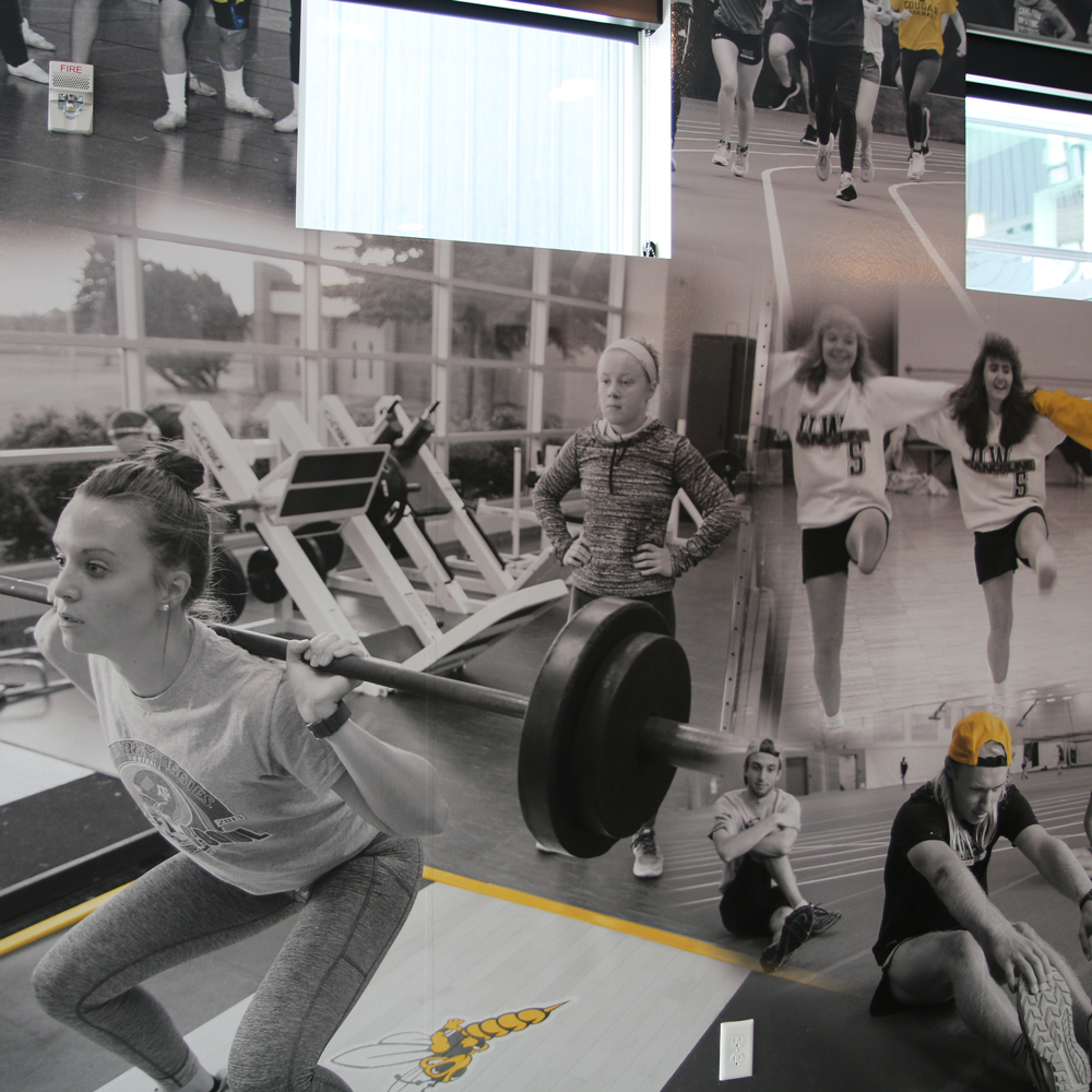 Preview of Central Flats fitness mural